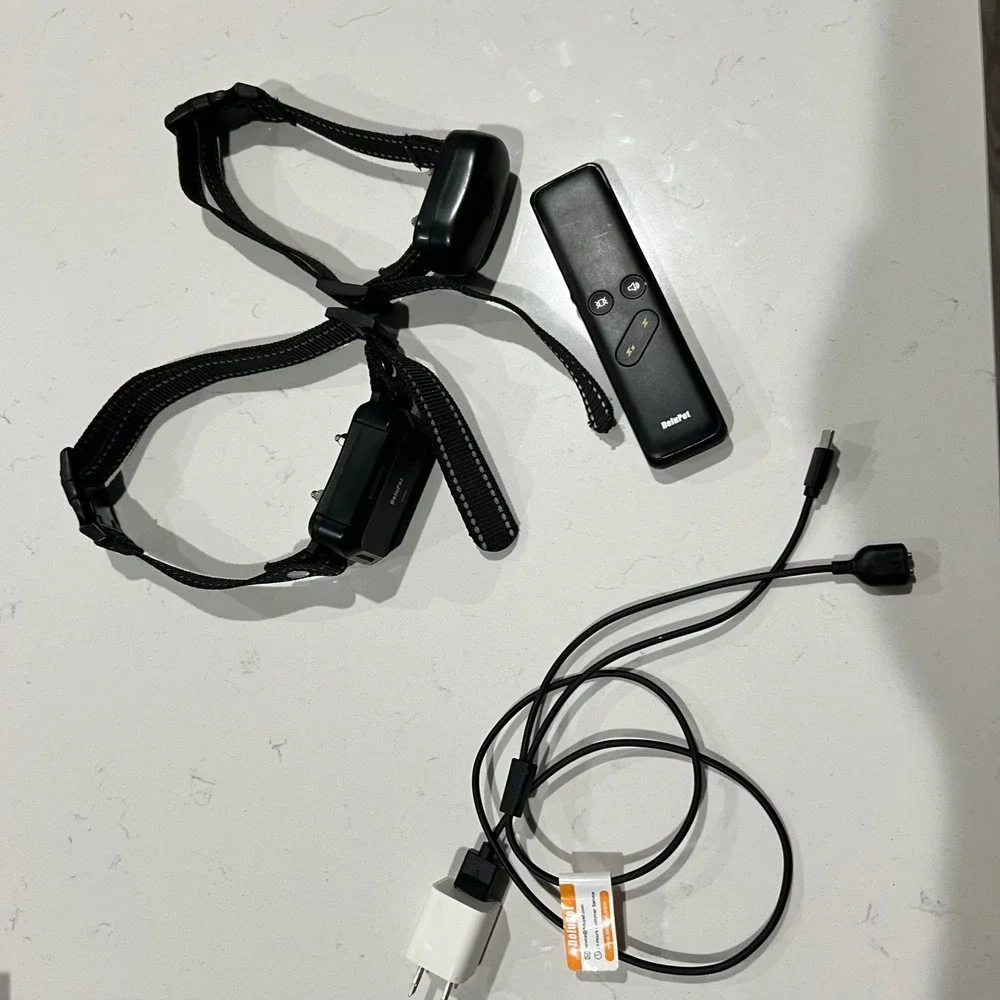 Delupet Dog Training Collar Set for 2 Dogs with Remote Rechargeable Black